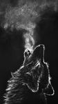 animals027_uhd.jpg