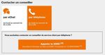 Orange chat.jpg