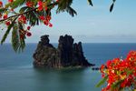 poule-couveuse-hienghene-nouvelle-caledonie.jpg