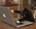 lechatmachine.png