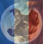 Profil (Martouf1)
