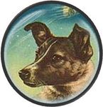 Laika Ronde.jpg