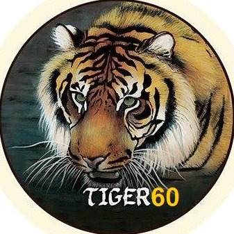 tiger60