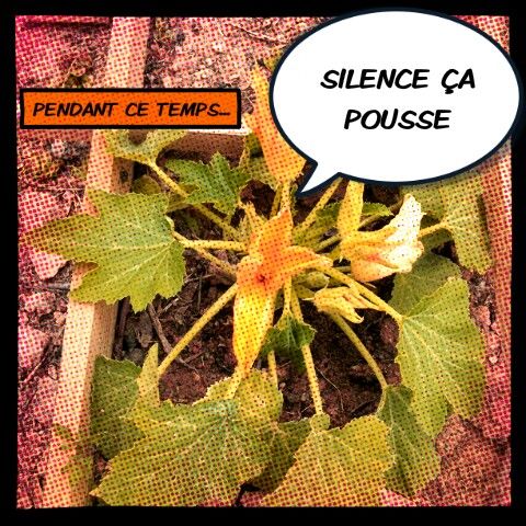 fleur.jpeg
