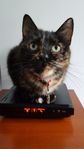 Profil (Jess62231)