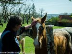 13-avril-2014-Ferme equestre Margnot-11(1) (1).jpg