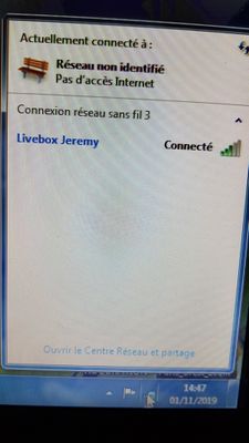 on voit bien que le pc est connecté mais pas d'internet