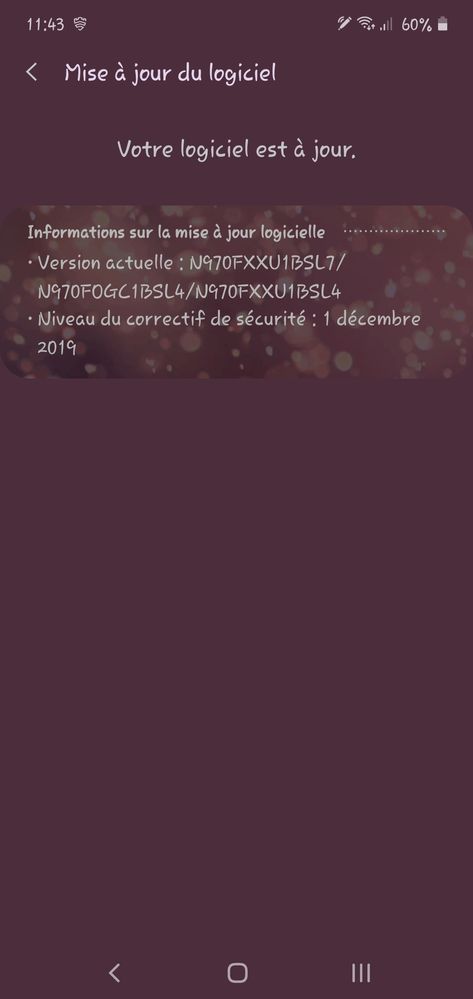 Screenshot_20200211-114403_Software update.jpg