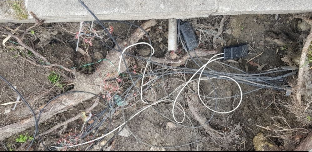 Screenshot_20200224-133502_Lit Photo.jpg