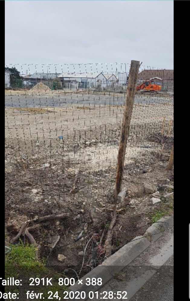 Screenshot_20200224-133414_Lit Photo.jpg