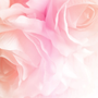 MYRTILLE2301