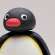 Pingu33