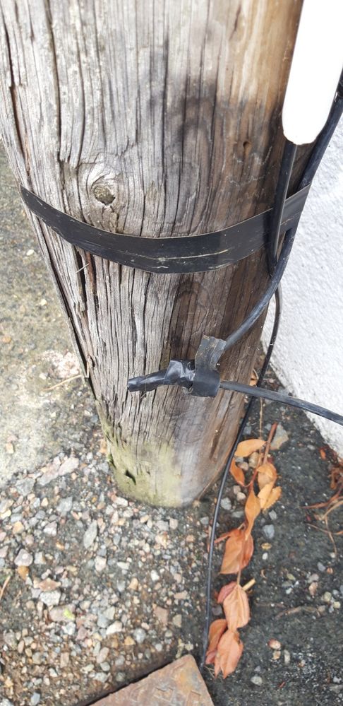 belle épissure avec du scotch à l'air libre