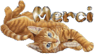 merci2.gif