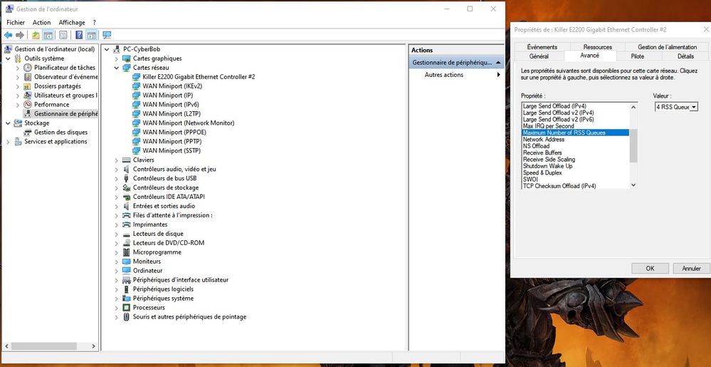 capture ecran carte reseau.jpg