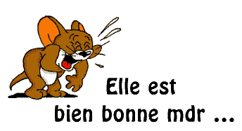 rire-mdr_1.gif
