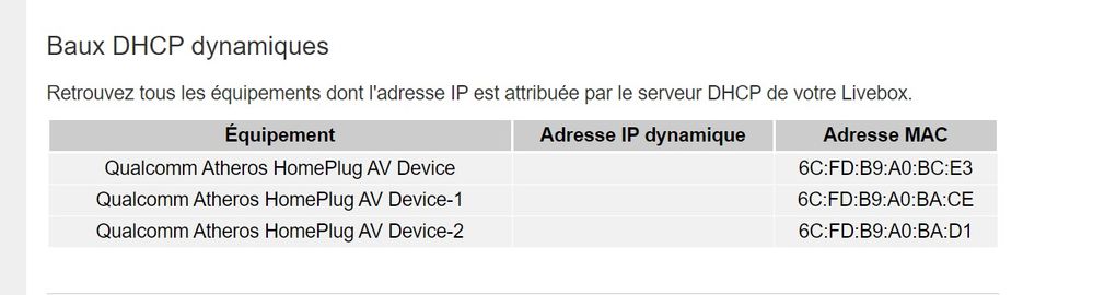 DHCP Dyn 2020-12-03 112946.jpg