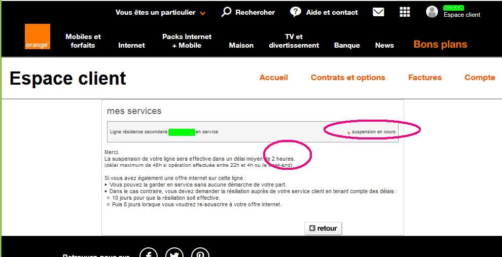 orange 02.12 (2).jpg