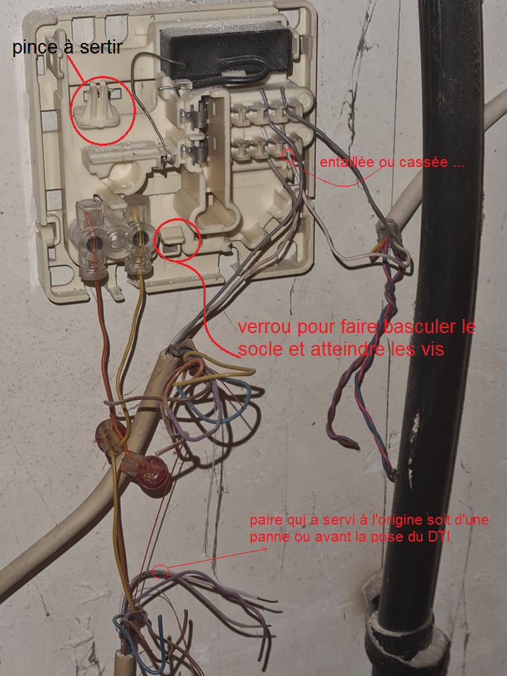 146291559_2567241870248401_7539776164179388508_n  bis.png