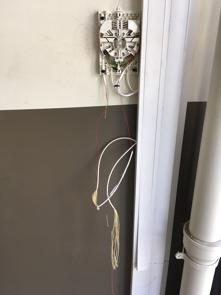 IMG_1903 - Copie.JPG