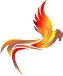 coq de feu flamboyant 1.jpg