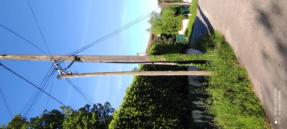 le poteau qui penche maintenant du coté d l'arbre élagué