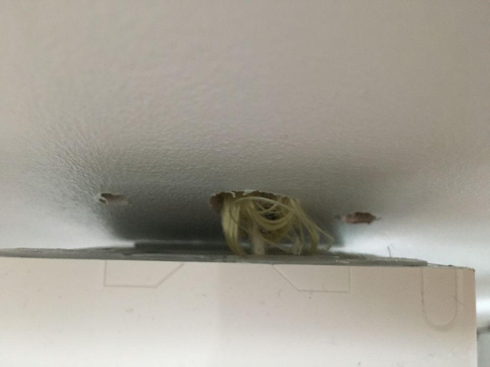 Installation du 19 mai dernier