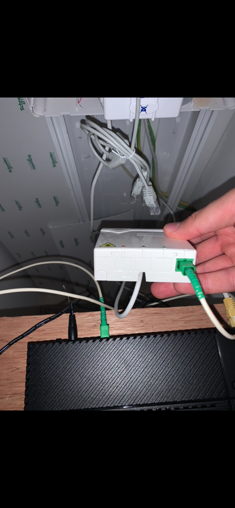 En blanc, c'est le câble fibre tiré depuis l'extérieur  et en vert un câble branchée à ma box