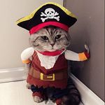 pirate-des-caraibes-costume-de-chat-drole-pour-chien-pet-vetements-pour-coiffeuse-corsair-jusqursquoparti-apparel-vetements-pour-chien-chat-plus-hat.jpg