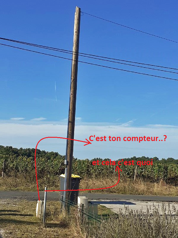 Dan336_ 20210906_093657_resize_75  bis.png