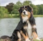 Profil (jean_pierre02)