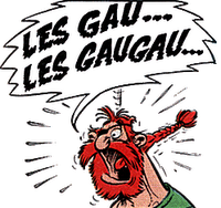 20000000561_pirates ast√©rix les gaugau.png