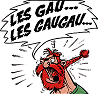 avatar gaulois.png
