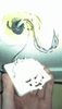 IMAG0287.jpg