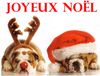 noel-Joyeux.jpg