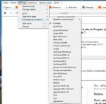 Firefox - Menu encodage