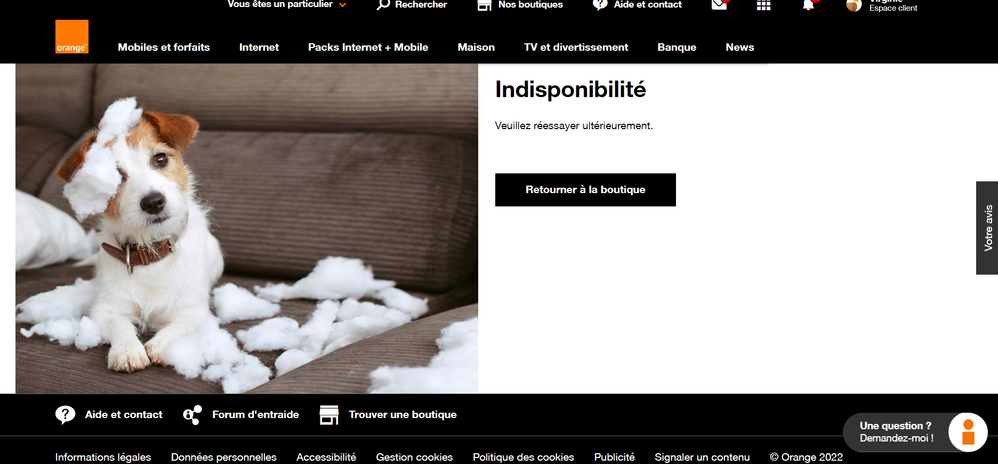 Capture d’écran 2022-07-25 200146.png