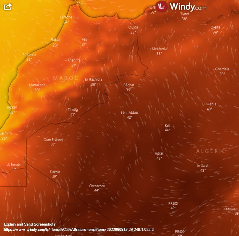 Screenshot of Windy Température.jpg