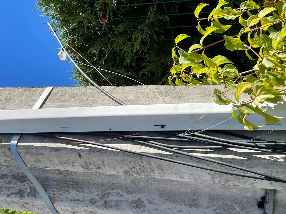 Triste état de la fibre_1599.JPG