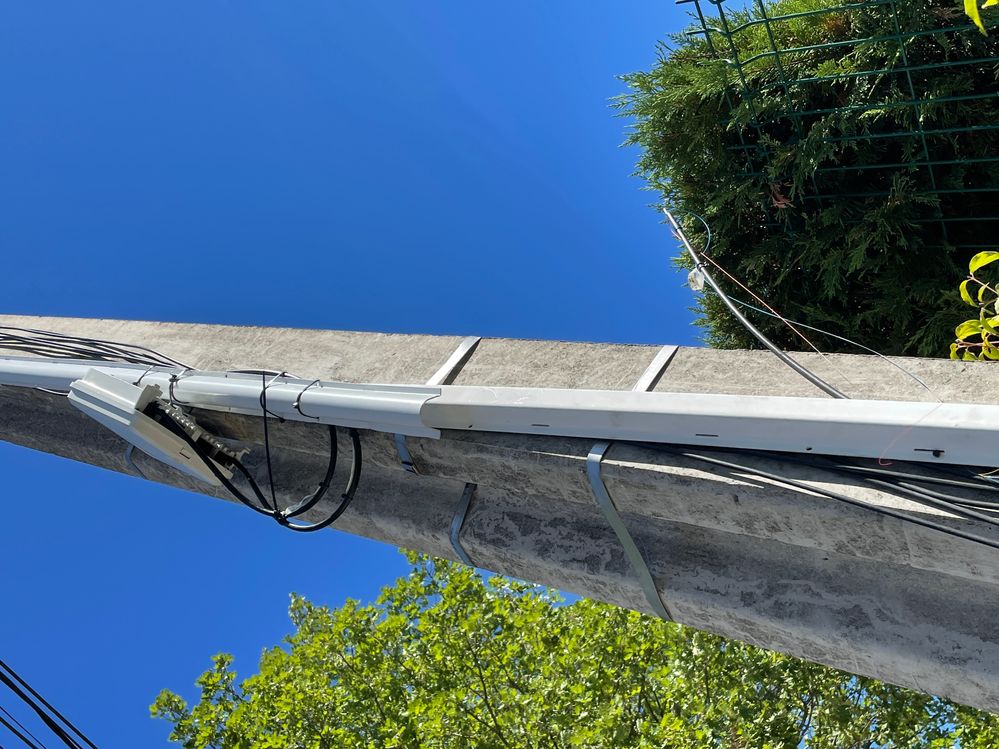 Triste état de la fibre_1601.JPG