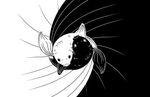 koi_fish_yin_yang_wallpaper_by_lennicat_dd10ar2-fullview.jpg