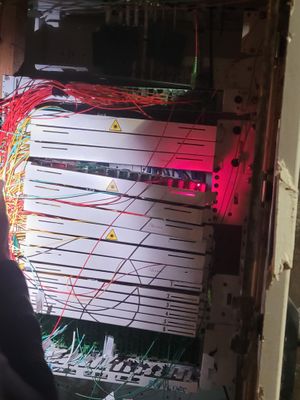 20230505_Fibre-rouvière-2.jpg