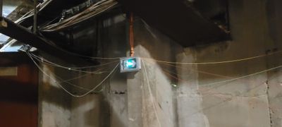20230505_Fibre-rouvière-3.jpg