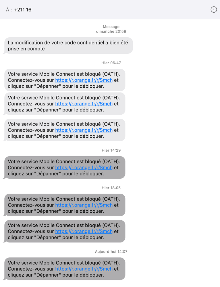Capture d’écran 2023-05-11 à 16.04.18.png