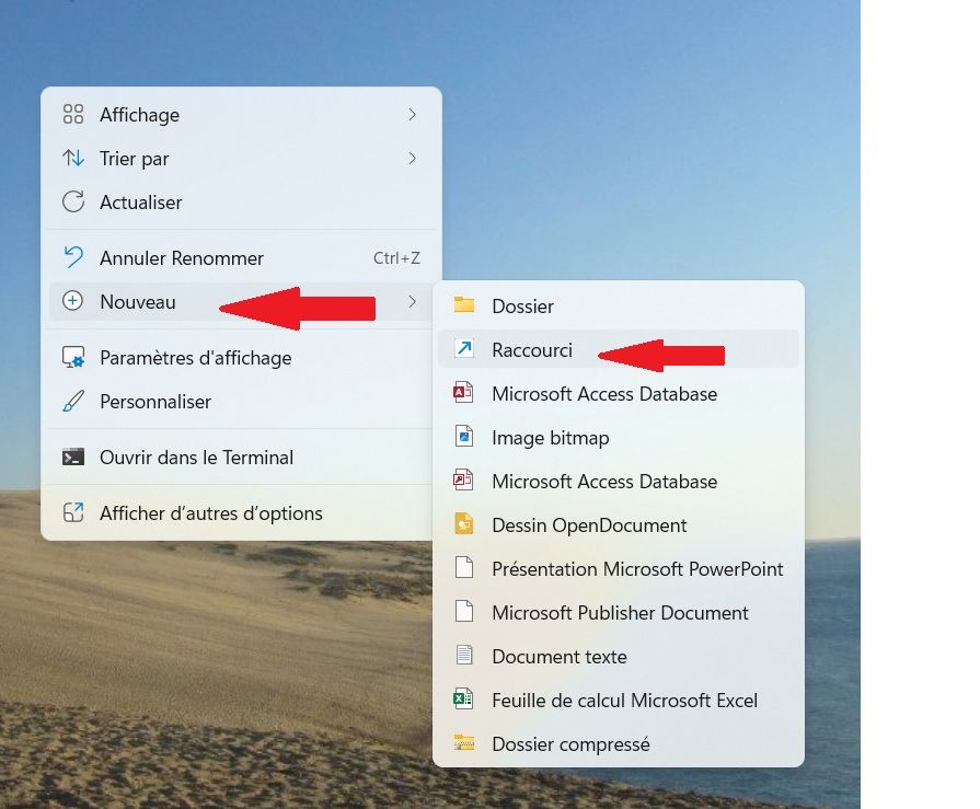 NouveauRaccourci.jpg