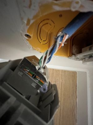 Prise RJ45 Murale "1"