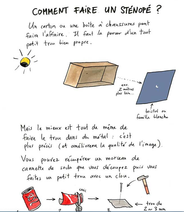 stenope.png