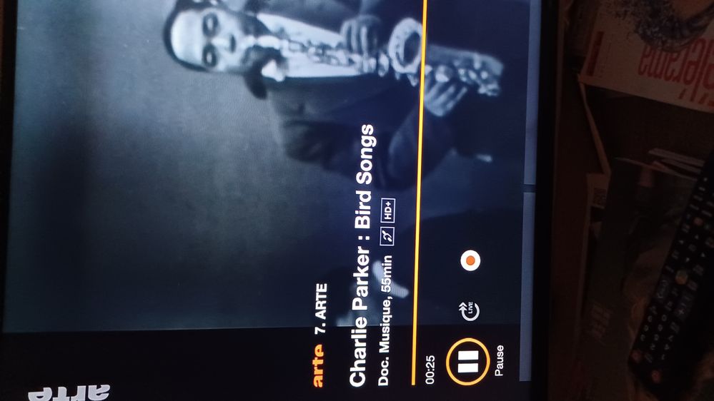 Par défaut on tombe sur la mise en pause