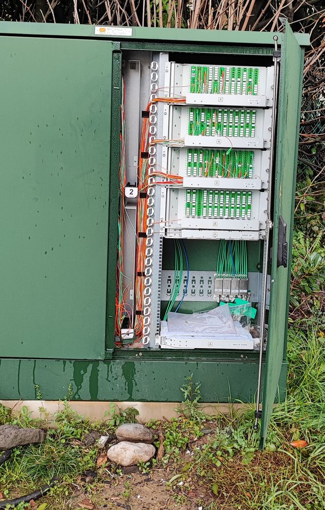 PM Orange SEY-PT000115-a_0.jpg