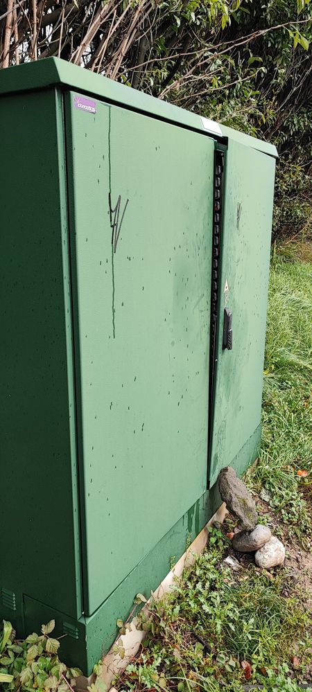 PM Orange SEY-PT000115-a_0b.jpg